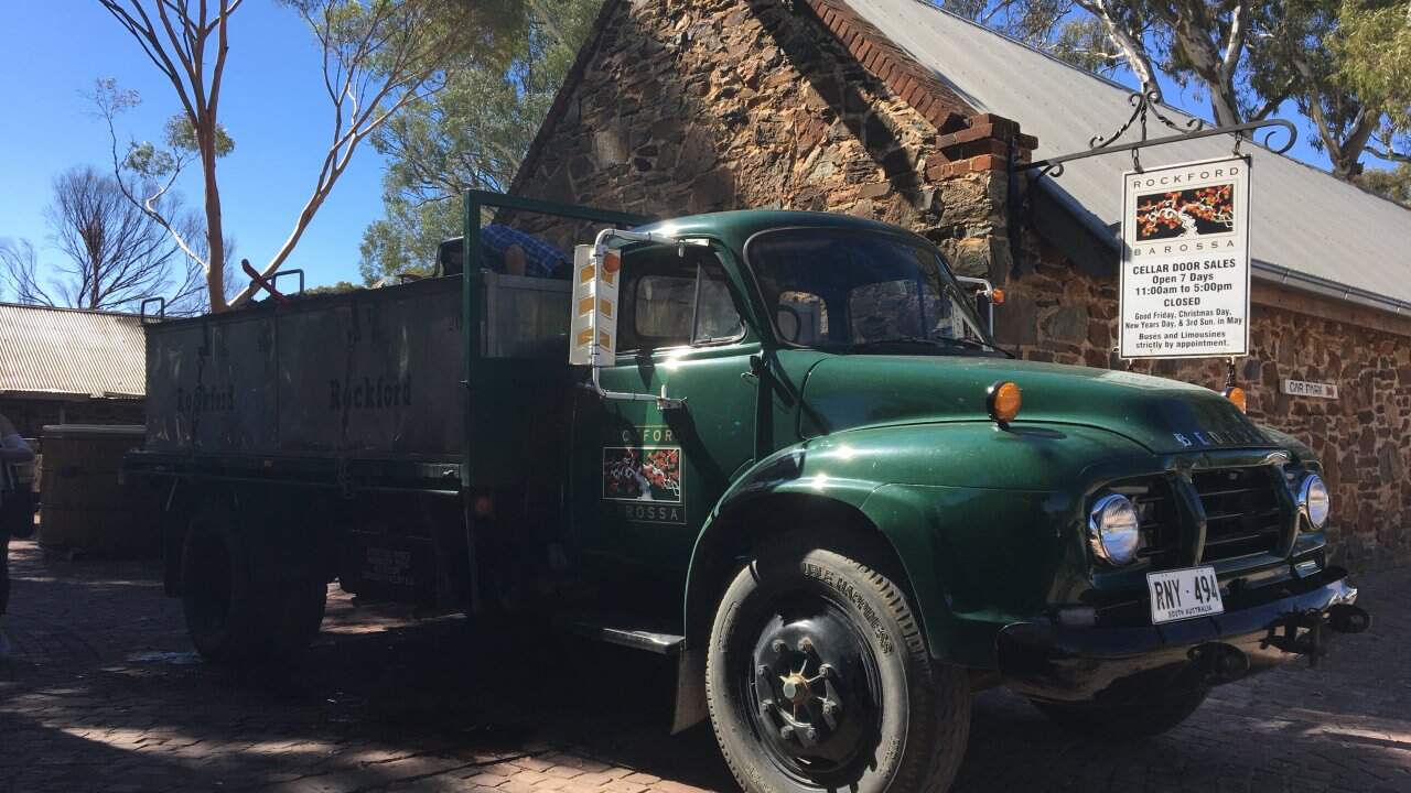 Rockford Wines during vintage 2025